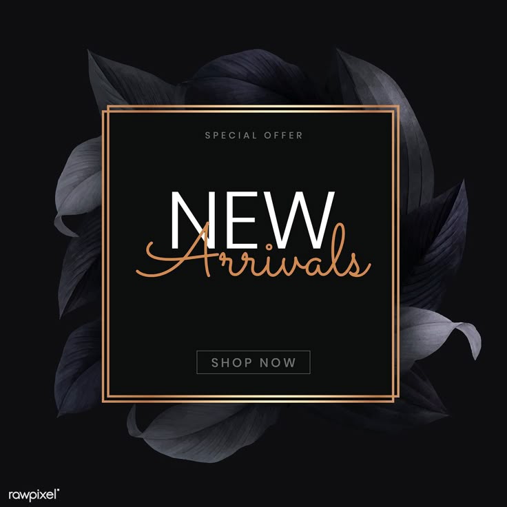 New Arrivals